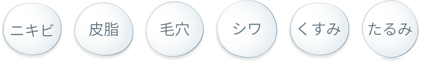 効果が期待できる肌トラブル。ニキビ、皮脂、毛穴、シワ、くすみ、たるみの6項目を円形アイコンで表示した図
